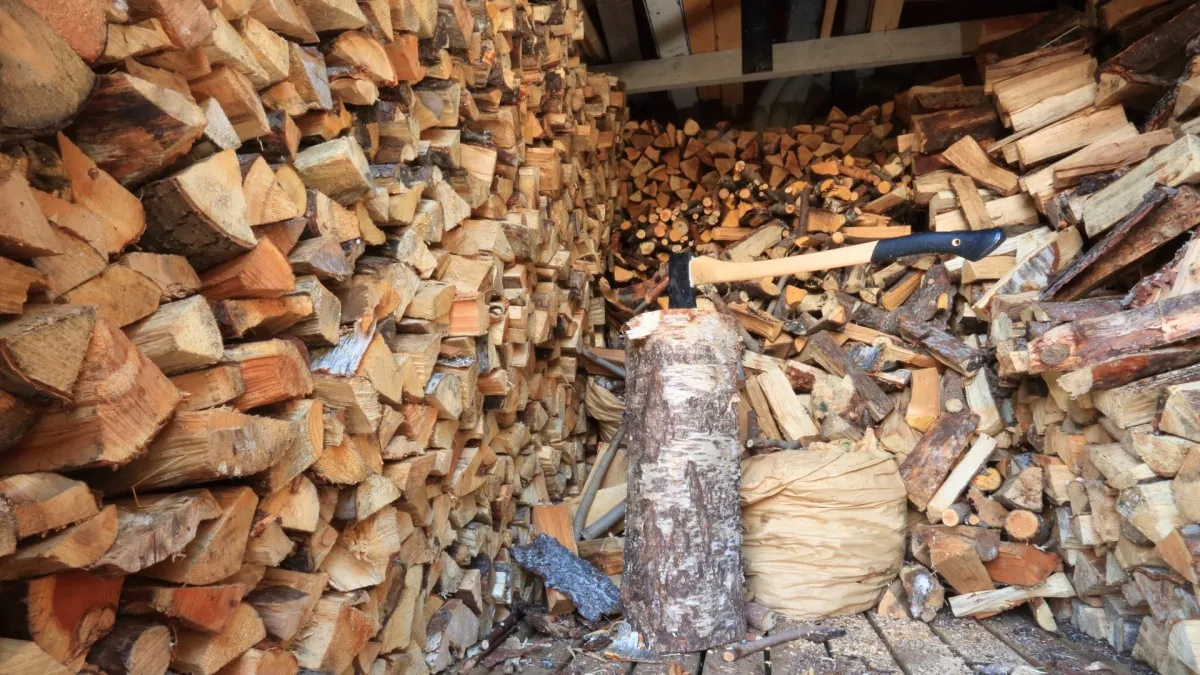 Spotřebu palivového dřeva ovlivňují čtyři věci. Kdo si na ně nedá pozor, zbytečně přeplatí