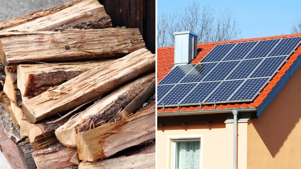 Porovnali jsme fotovoltaiku a dřevo. Cena za 1 kWh se mnohonásobně liší