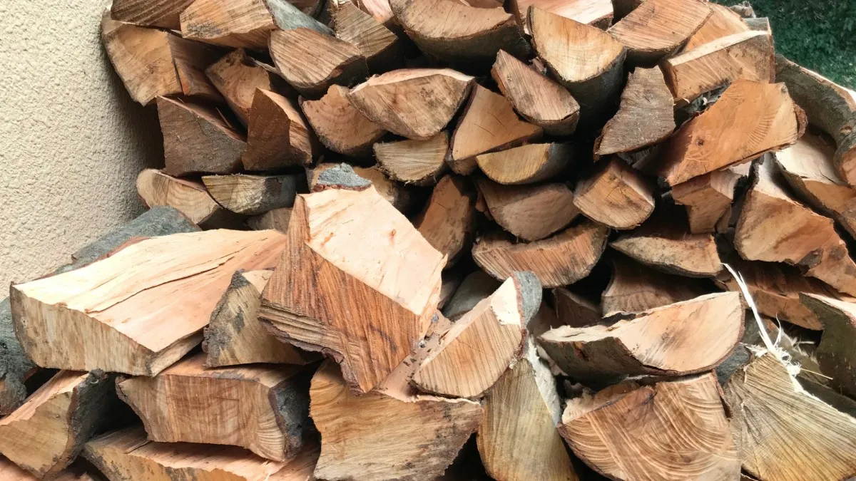 Karel topí dřevem a neplatí za to ani korunu. Popsal, jak toho dosáhl 