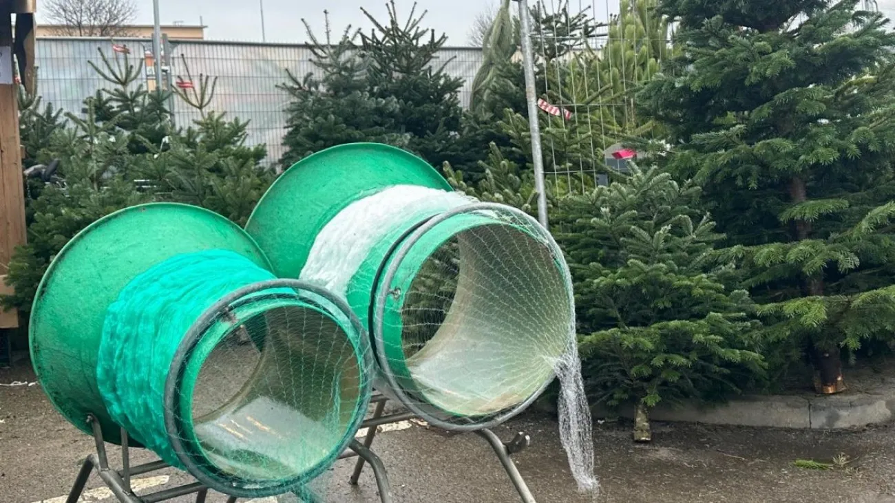 Vánoční stromeček levněji