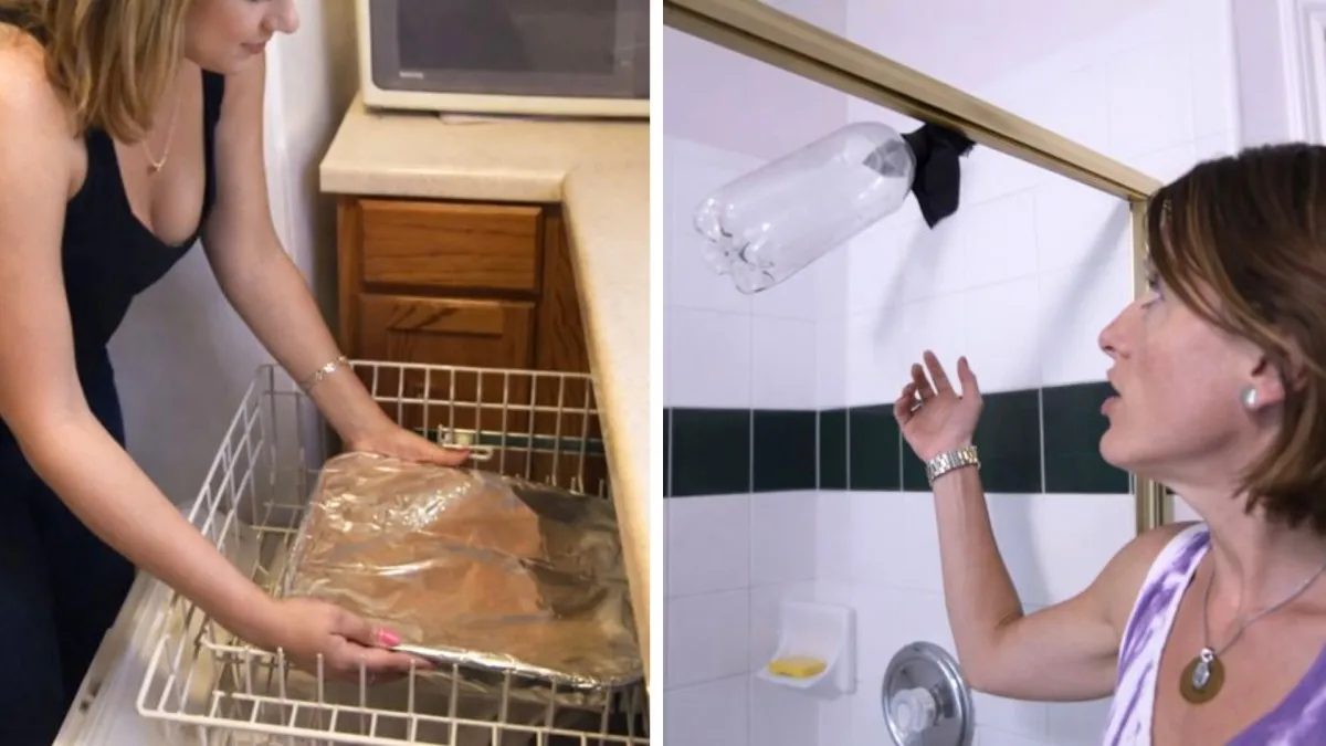 Splachují jednou týdně, jídlo ohřívají v myčce a dojídají zbytky po cizích lidech